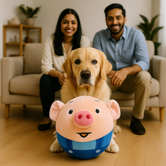 BouncyPig™ (Rechargeable)